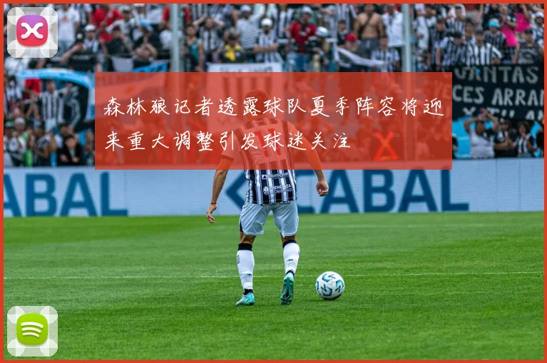 森林狼记者透露球队夏季阵容将迎来重大调整引发球迷关注